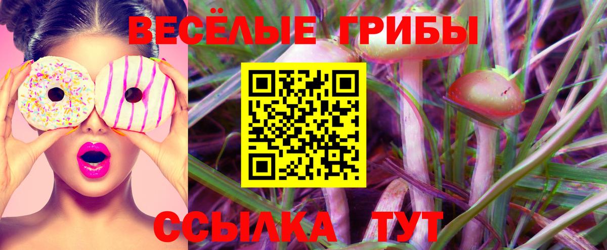 Балаково  Галлюциногенные грибы GOLDEN TEACHER  Вход с VPN 